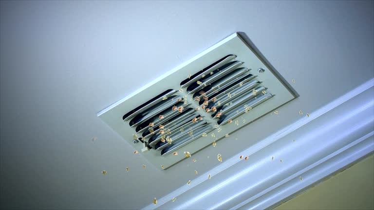 Best HVAC Maintenance and Cleaning  in Westhampton, NY