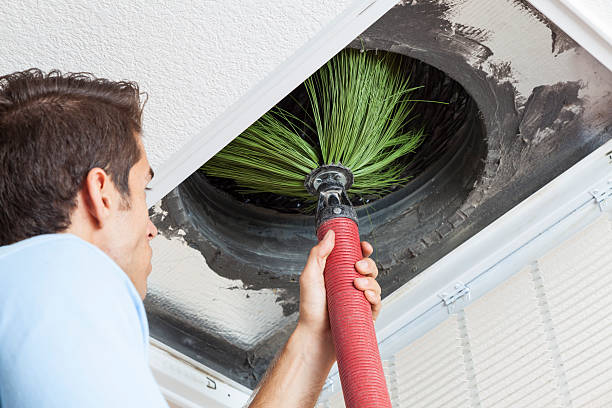 Best Local Air Duct Cleaning Services  in Westhampton, NY